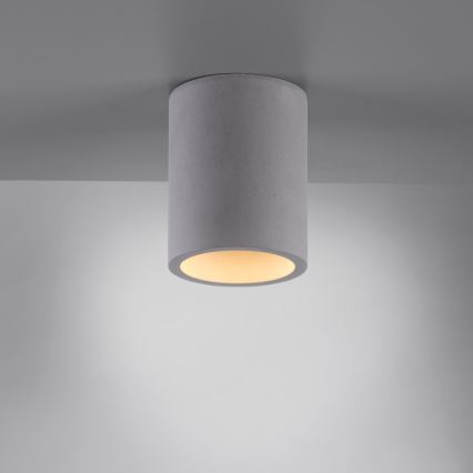 Paul Neuhaus 6160-22 - Spot ETON 1xGU10/10W/230V béton