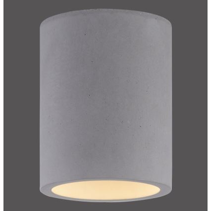 Paul Neuhaus 6160-22 - Spot ETON 1xGU10/10W/230V béton