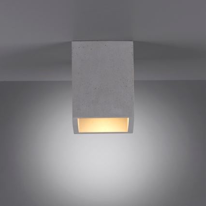 Paul Neuhaus 6161-22 - Spot ETON 1xGU10/10W/230V béton