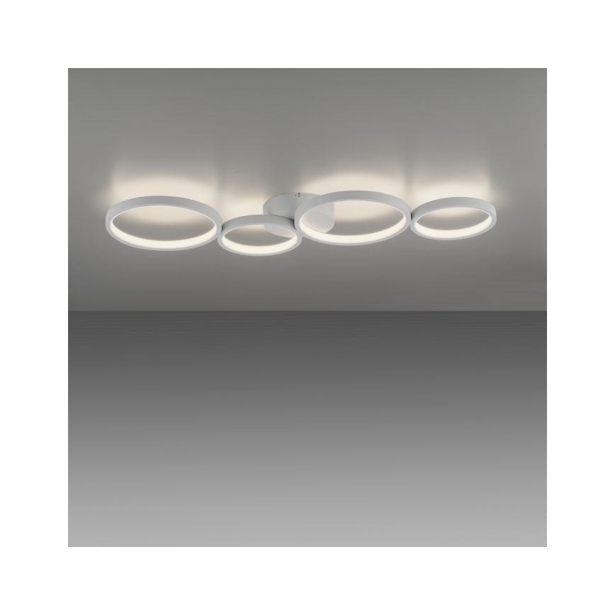 Paul Neuhaus 6183-16 - Dimmbare LED-Deckenleuchte KIRINGE LED/26W/230V