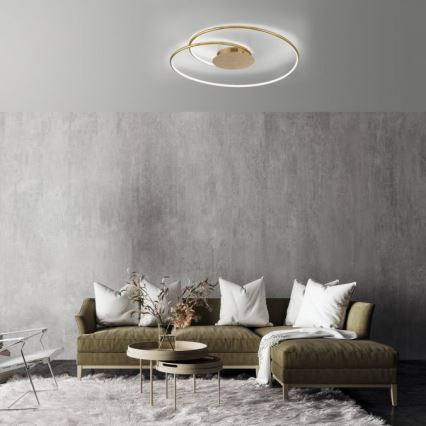 Paul Neuhaus 6189-12 - Dimmbare LED-Deckenleuchte NASTRO LED/26W/230V