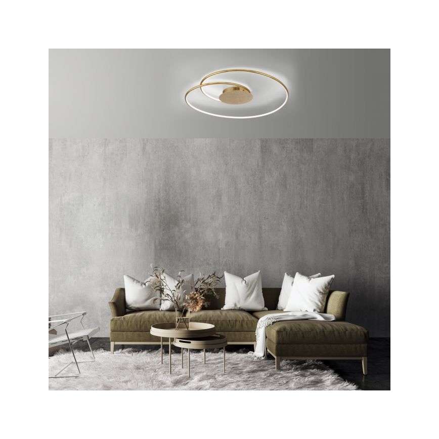 Paul Neuhaus 6189-12 - Dimmbare LED-Deckenleuchte NASTRO LED/26W/230V