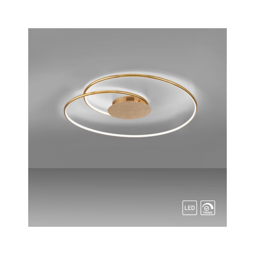 Paul Neuhaus 6189-12 - Dimmbare LED-Deckenleuchte NASTRO LED/26W/230V