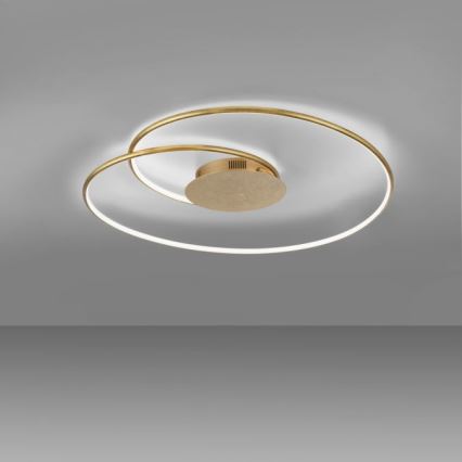 Paul Neuhaus 6189-12 - Dimmbare LED-Deckenleuchte NASTRO LED/26W/230V