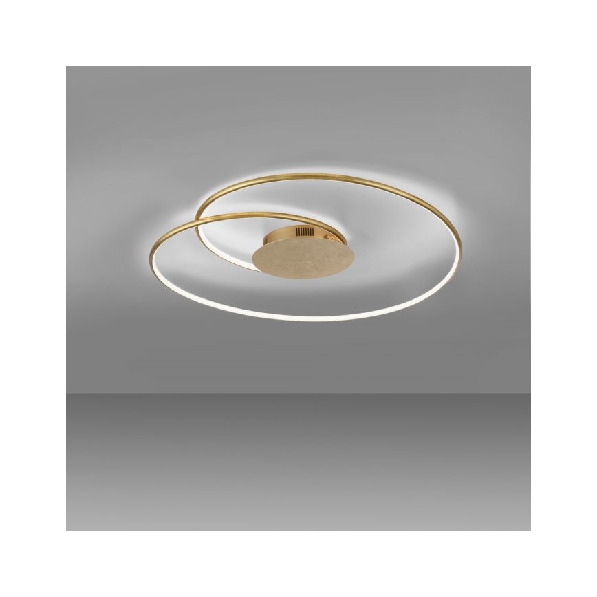 Paul Neuhaus 6189-12 - Dimmbare LED-Deckenleuchte NASTRO LED/26W/230V