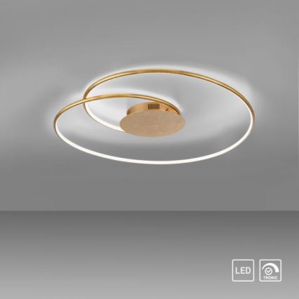 Paul Neuhaus 6189-12 - Plafonnier à intensité variable NASTRO LED/26W/230V