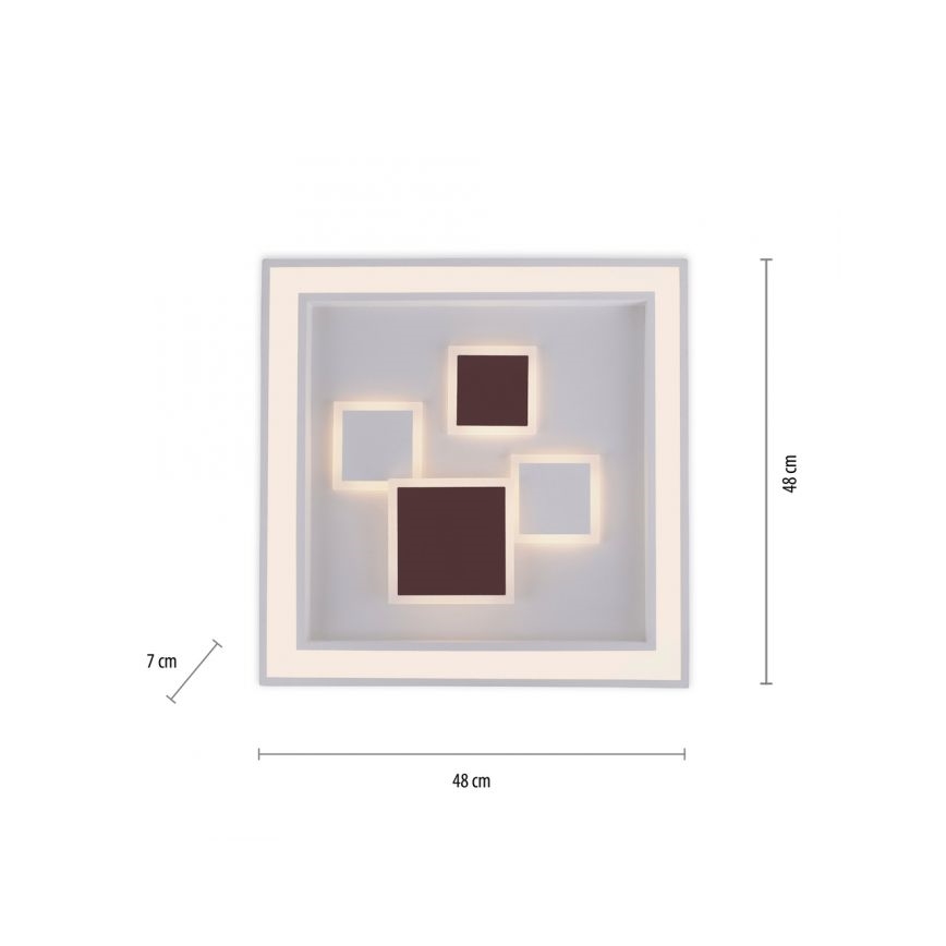 Paul Neuhaus 6283-16 - Plafoniera LED dimmerabile ELIZA LED/30W/230V + LED/18,5W