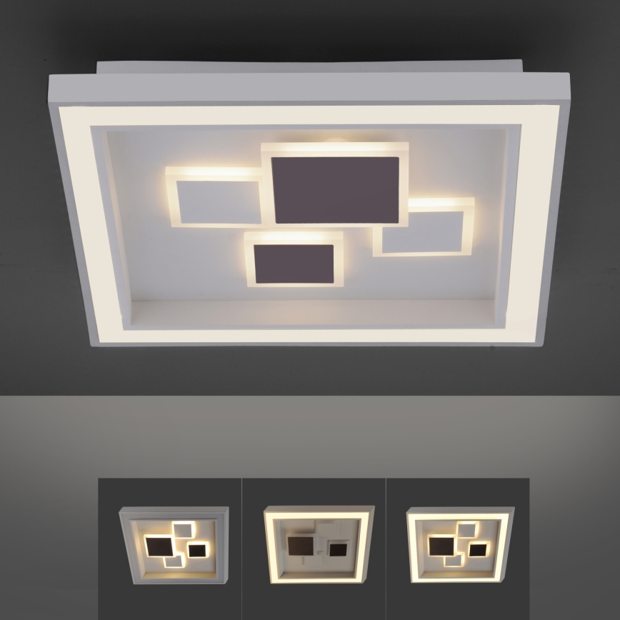 Paul Neuhaus 6283-16 - LED Dimmbare Deckenleuchte ELIZA LED/30W/230V + LED/18,5W