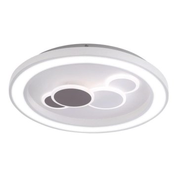 Paul Neuhaus 6284-16 - LED-Deckenleuchte ELIZA LED/55,5W/230V d 60 cm
