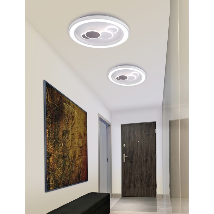 Paul Neuhaus 6284-16 - LED-Deckenleuchte ELIZA LED/55,5W/230V d 60 cm