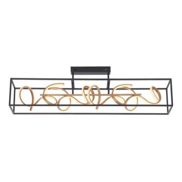 Paul Neuhaus 6473-18 - Lampadario LED a sospensione con filo dimmerabile SELINA 4xLED/10,2W/230V