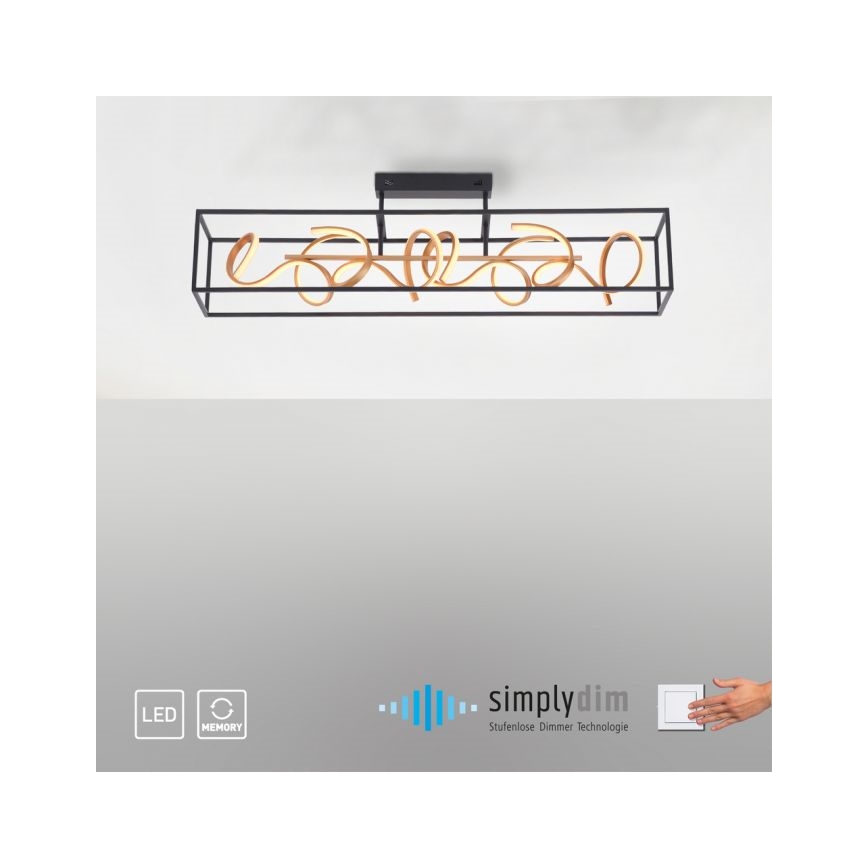 Paul Neuhaus 6473-18 - Lampadario LED a sospensione con filo dimmerabile SELINA 4xLED/10,2W/230V