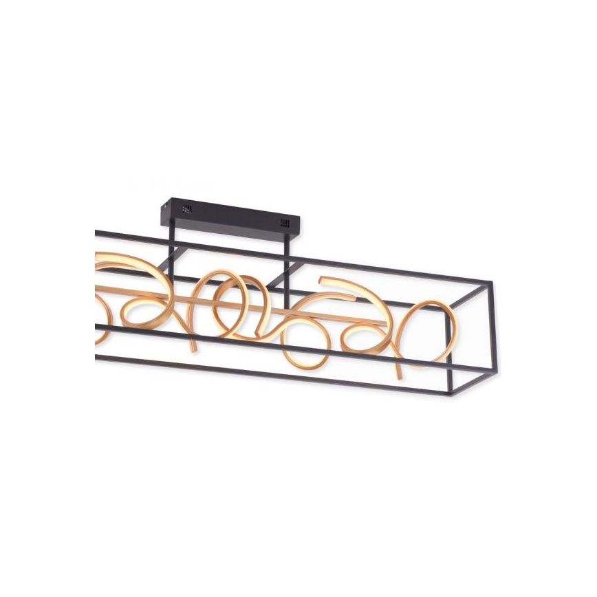 Paul Neuhaus 6473-18 - Lustre dimmable LED avec tige SELINA 4xLED/10,2W/230V