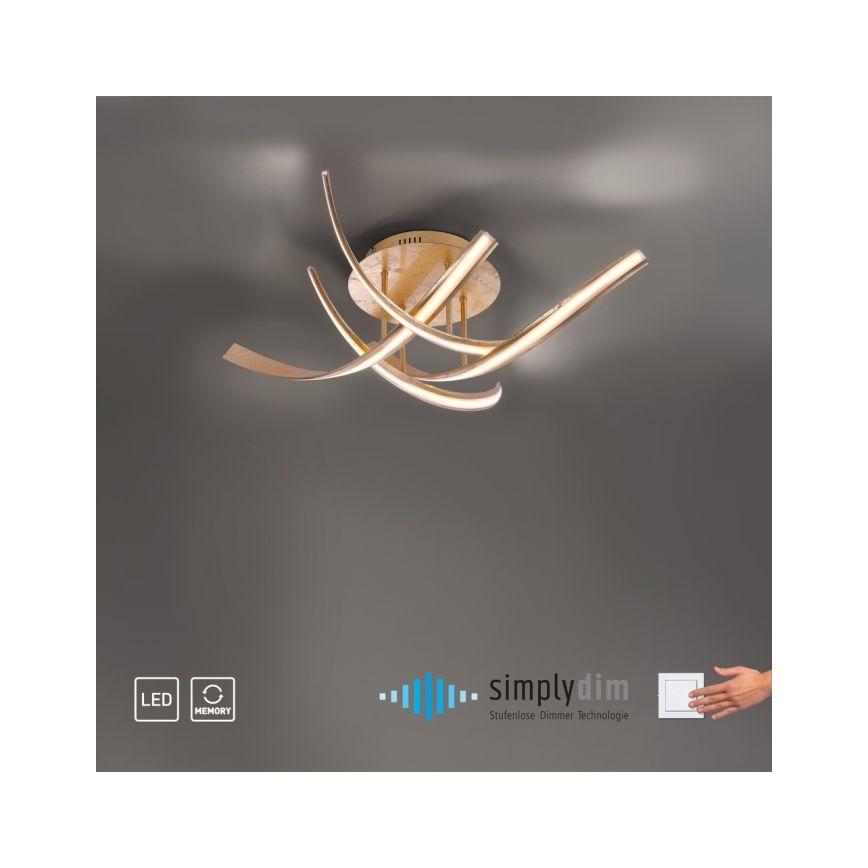 Paul Neuhaus 6474-12 - Lampadario a plafone LED dimmerabile LINDA 4xLED/7W/230V