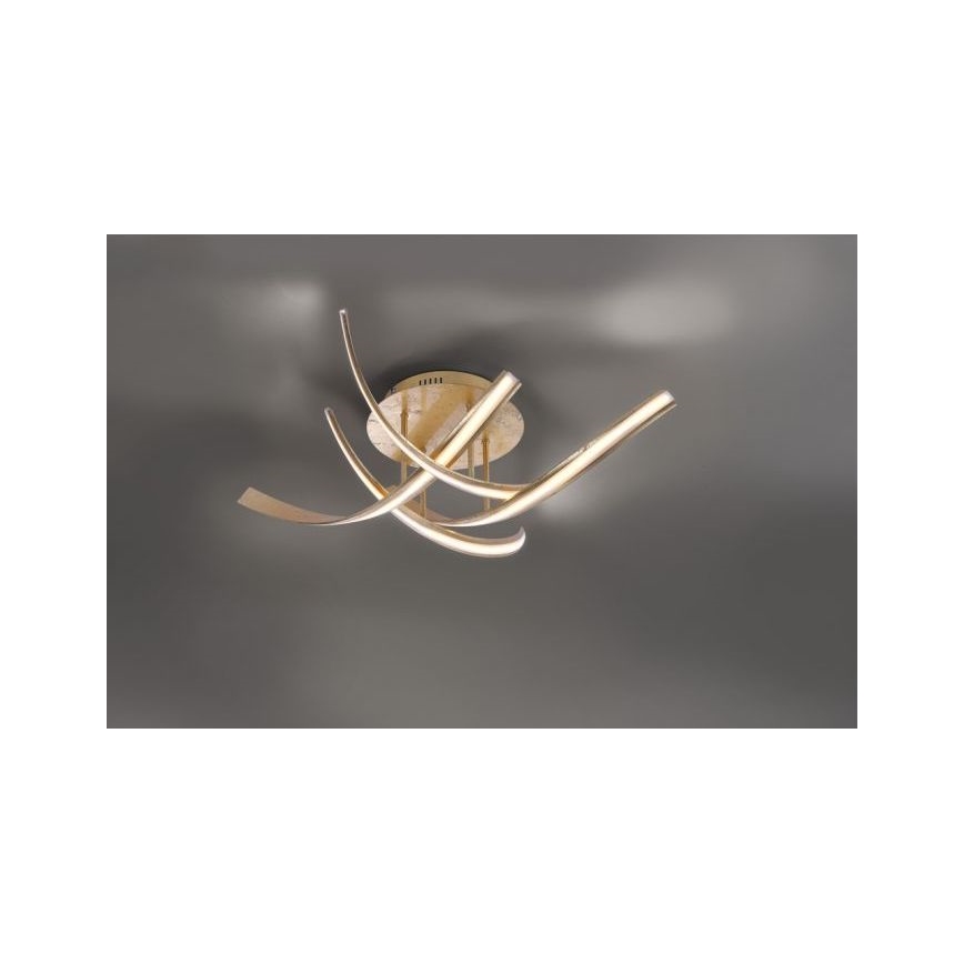 Paul Neuhaus 6474-12 - Plafonnier à intensité variable LINDA 4xLED/7W/230V