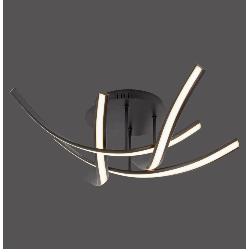 Paul Neuhaus 6474-48 - Plafonnier à intensité variable LINDA 4xLED/7W/230V