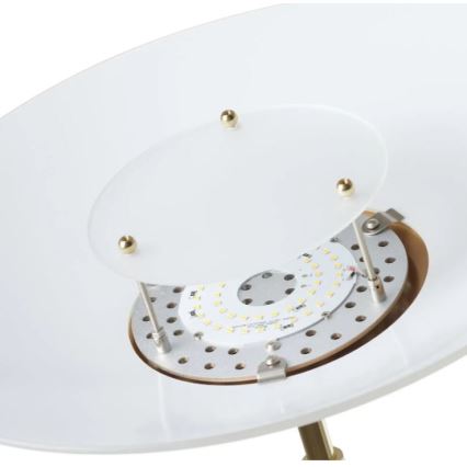 Paul Neuhaus 655-60 - Dimmbare LED-Stehlampe ALFRED LED/28W/230V+LED/4W/230V Messing