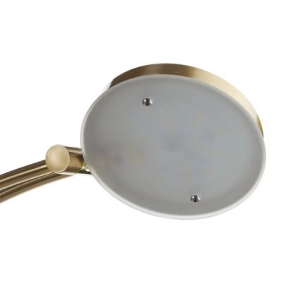 Paul Neuhaus 655-60 - Piantana LED dimmerabile ALFRED LED/28W/230V+LED/4W/230V ottone