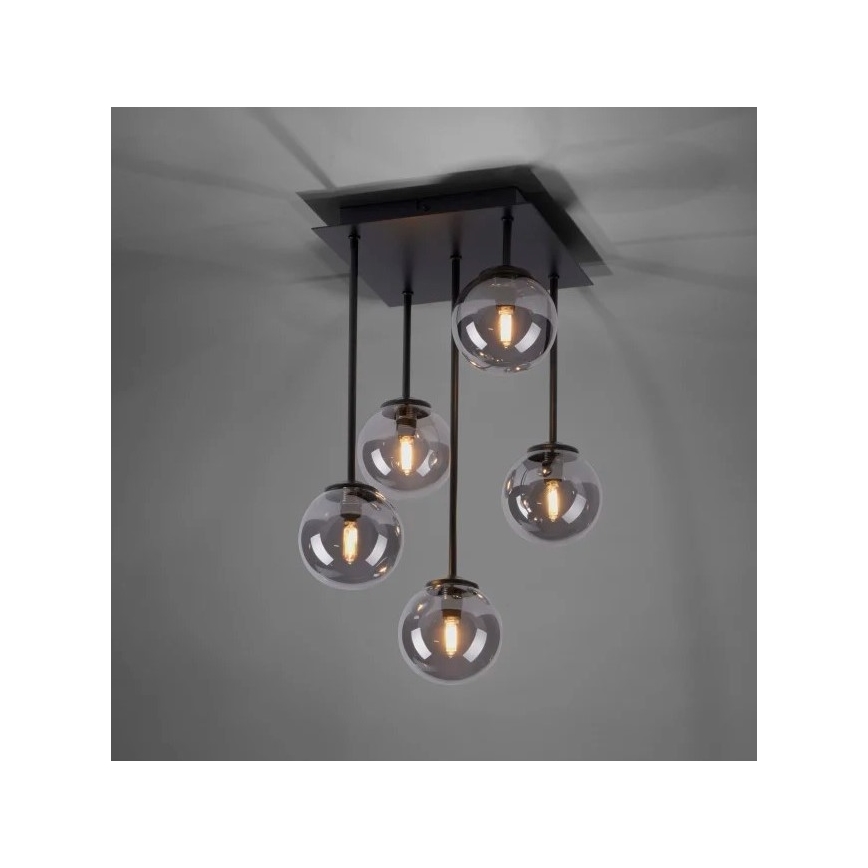 Paul Neuhaus 6719-18 - Lampadario LED su palo WIDOW 5xG9/3W/230V