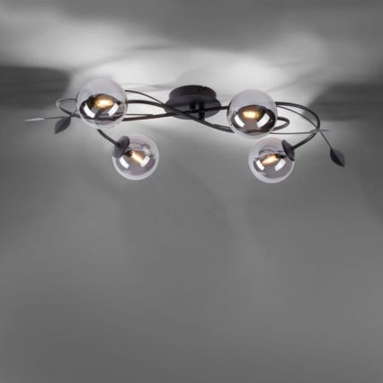 Paul Neuhaus 6724-18 - Lampadario da parete LED WIDOW 4xG9/3W/230V
