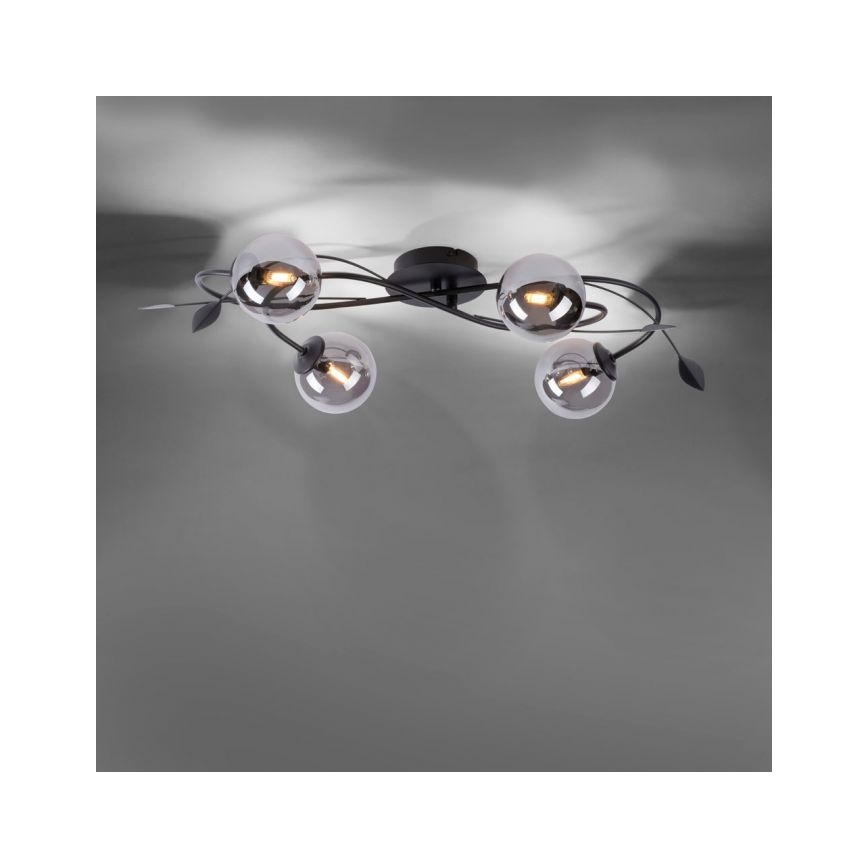 Paul Neuhaus 6724-18 - Lampadario da parete LED WIDOW 4xG9/3W/230V