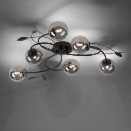 Paul Neuhaus 6737-18 - Plafonnier LED WIDOW 6xG9/3W/230V