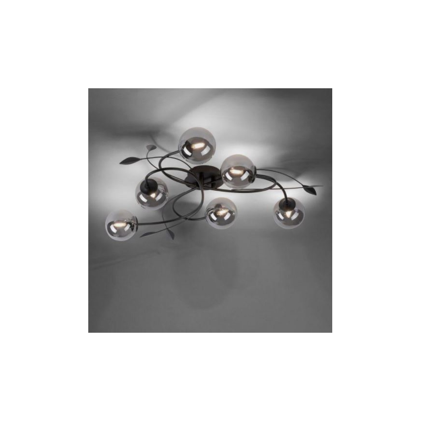 Paul Neuhaus 6737-18 - Plafonnier LED WIDOW 6xG9/3W/230V