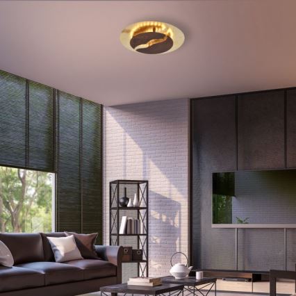Paul Neuhaus 6982-48 - Plafonnier à intensité variable NEVIS LED/26W/230V