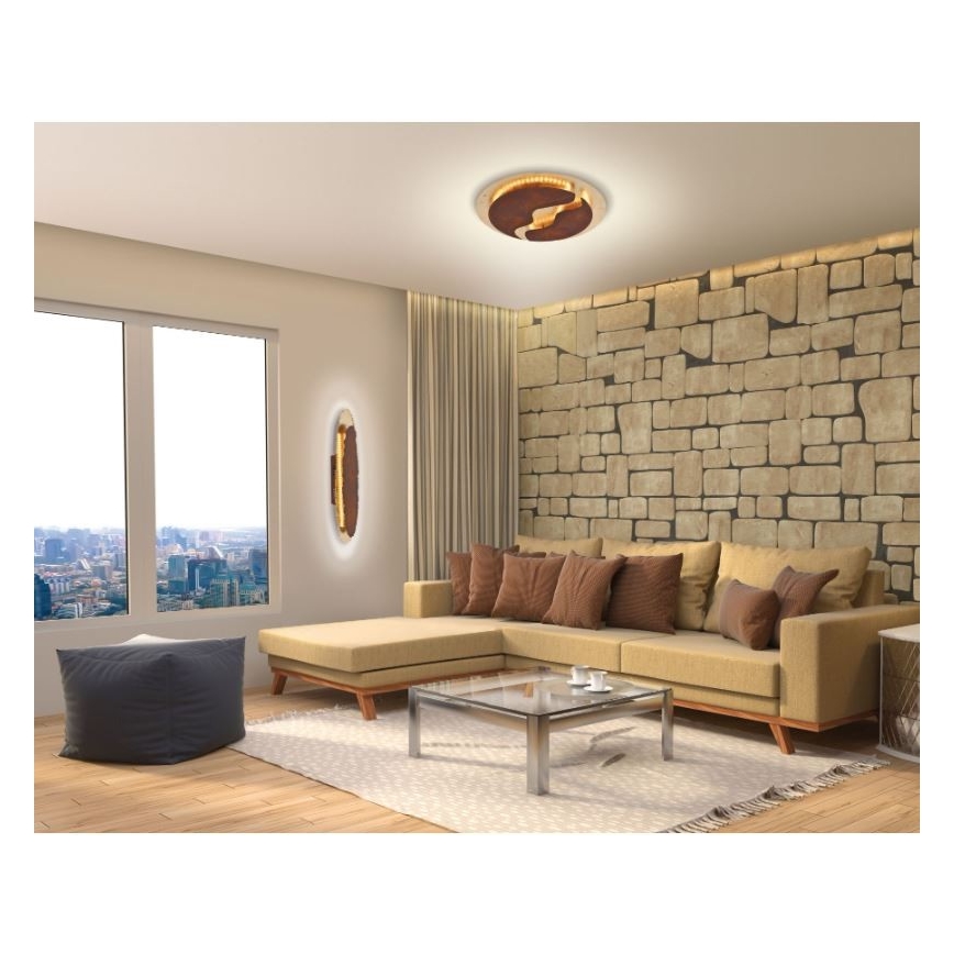 Paul Neuhaus 6983-48 - Plafonnier LED à intensité variable NEVIS LED/42W/230V