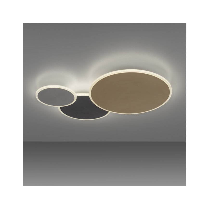 Paul Neuhaus 8007-70 - Dimmbare LED-Deckenleuchte Q-PIATO LED/35W/230V 2700-5000K Wi-Fi + Fernbedienung