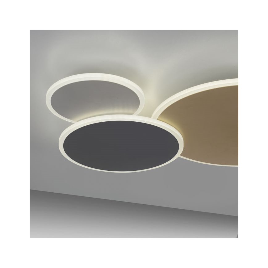 Paul Neuhaus 8007-70 - Dimmbare LED-Deckenleuchte Q-PIATO LED/35W/230V 2700-5000K Wi-Fi + Fernbedienung