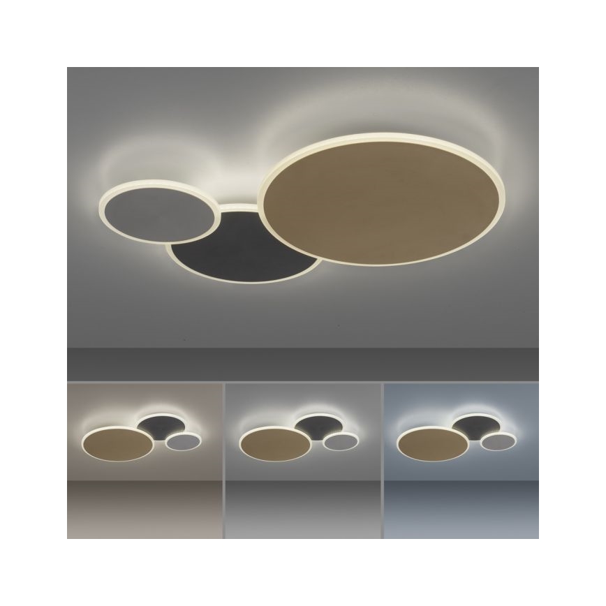 Paul Neuhaus 8007-70 - Plafoniera LED dimmerabile Q-PIATO LED/35W/230V 2700-5000K Wi-Fi + telecomando