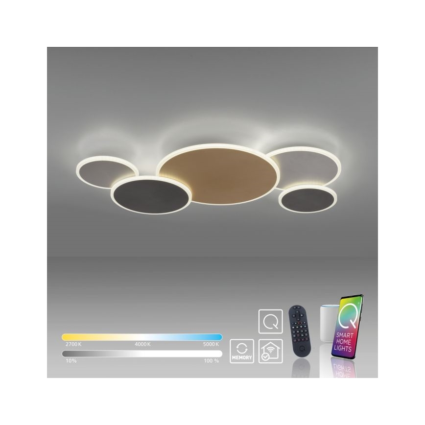 Paul Neuhaus 8008-70 - Dimmbare LED-Deckenleuchte Q-PIATO LED/49W/230V 2700-5000K Wi-Fi + Fernbedienung