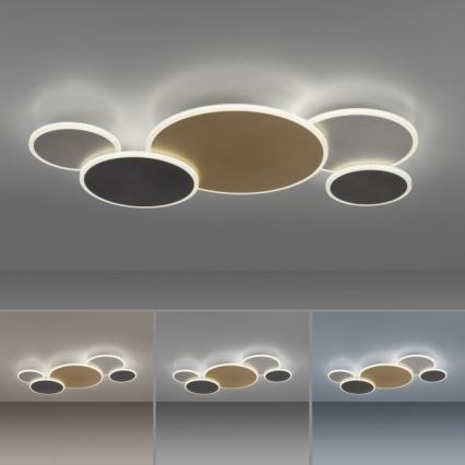 Paul Neuhaus 8008-70 - Dimmbare LED-Deckenleuchte Q-PIATO LED/49W/230V 2700-5000K Wi-Fi + Fernbedienung