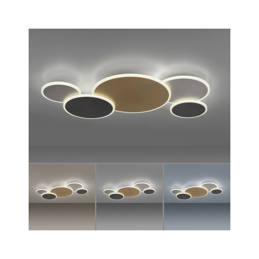 Paul Neuhaus 8008-70 - Dimmbare LED-Deckenleuchte Q-PIATO LED/49W/230V 2700-5000K Wi-Fi + Fernbedienung