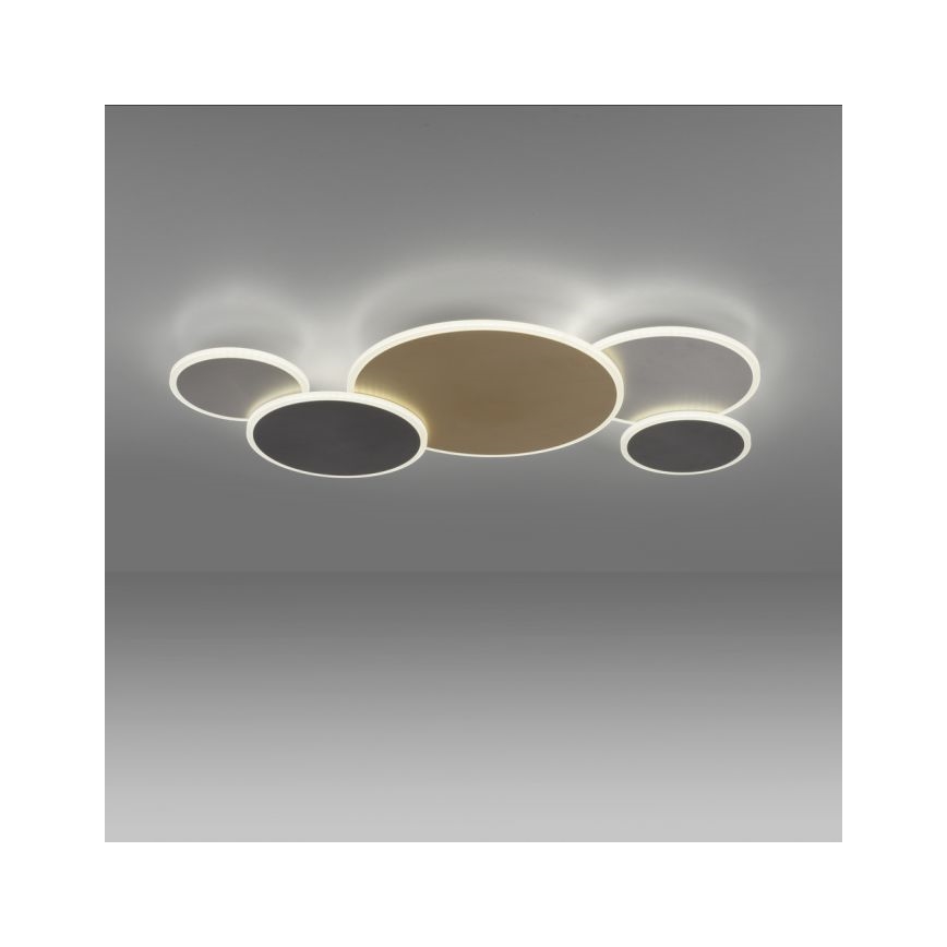 Paul Neuhaus 8008-70 - Dimmbare LED-Deckenleuchte Q-PIATO LED/49W/230V 2700-5000K Wi-Fi + Fernbedienung