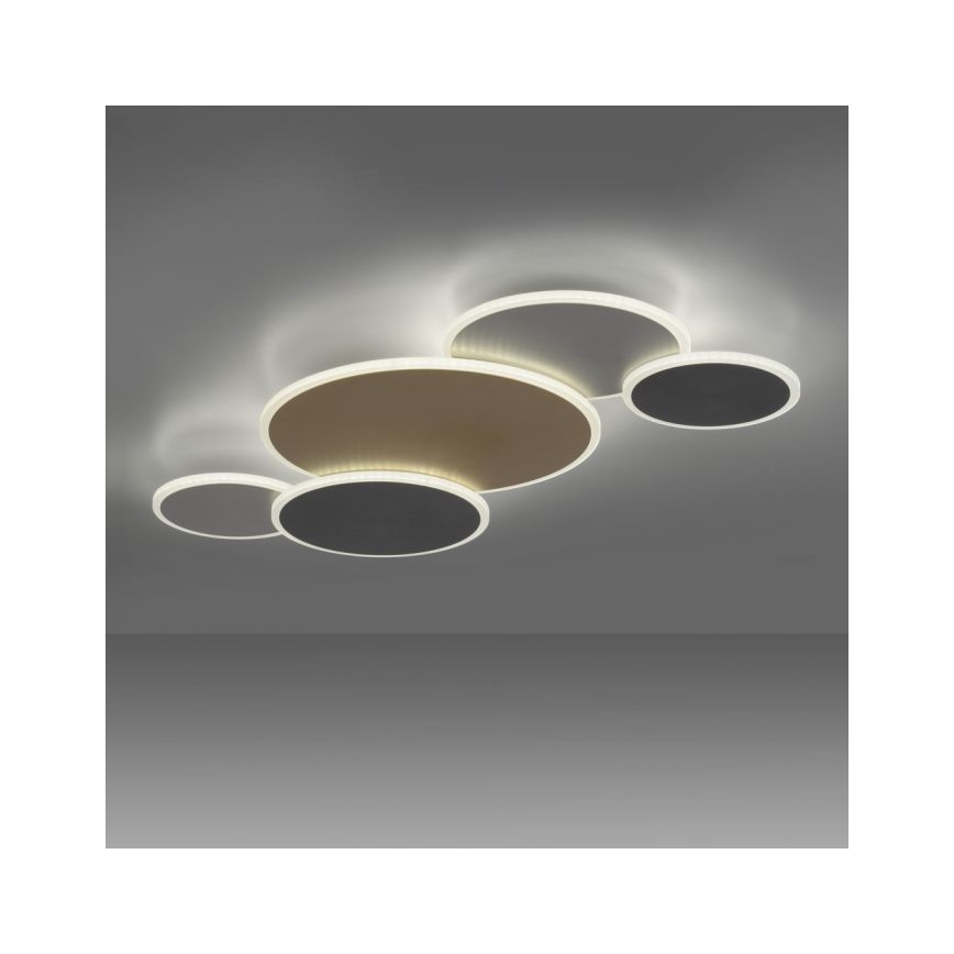 Paul Neuhaus 8008-70 - Dimmbare LED-Deckenleuchte Q-PIATO LED/49W/230V 2700-5000K Wi-Fi + Fernbedienung