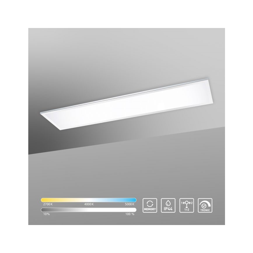Paul Neuhaus 8112-17 - Panneau monté en surface LED à intensité variable FLAG LED/35W/230V