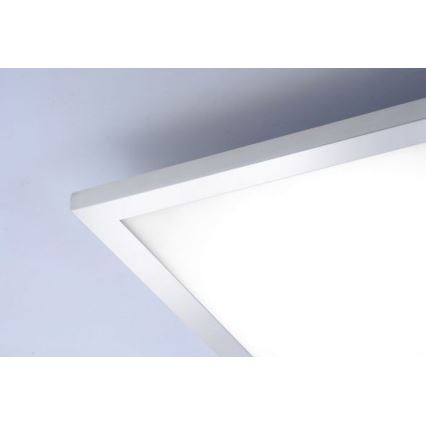 Paul Neuhaus 8112-17 - Panneau monté en surface LED à intensité variable FLAG LED/35W/230V