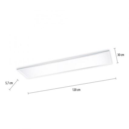 Paul Neuhaus 8112-17 - Panneau monté en surface LED à intensité variable FLAG LED/35W/230V