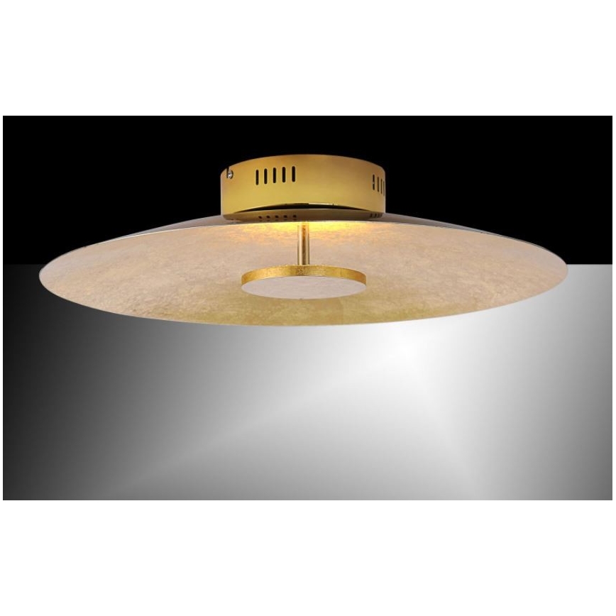 Paul Neuhaus 8132-12 - Plafonnier LED à intensité variable PLATE LED/25W/230V