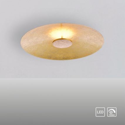 Paul Neuhaus 8132-12 - Plafonnier LED à intensité variable PLATE LED/25W/230V