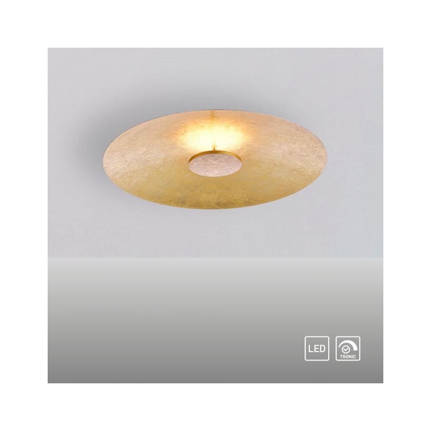 Paul Neuhaus 8132-12 - Plafonnier LED à intensité variable PLATE LED/25W/230V