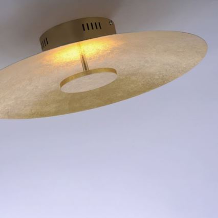 Paul Neuhaus 8132-12 - Plafonnier LED à intensité variable PLATE LED/25W/230V