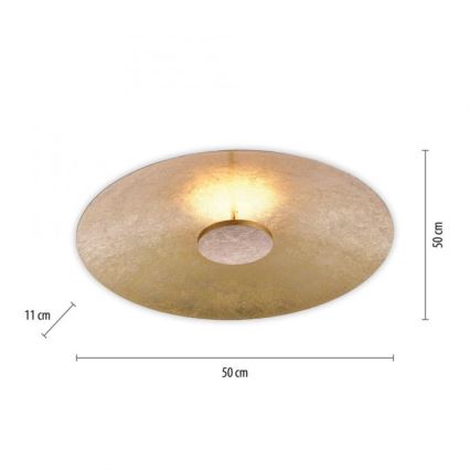 Paul Neuhaus 8132-12 - Plafonnier LED à intensité variable PLATE LED/25W/230V