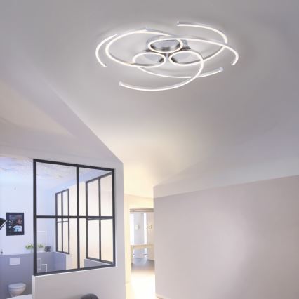 Paul Neuhaus 8165-55 - Plafoniera LED dimmerabile DANILO 3xLED/12W/230V