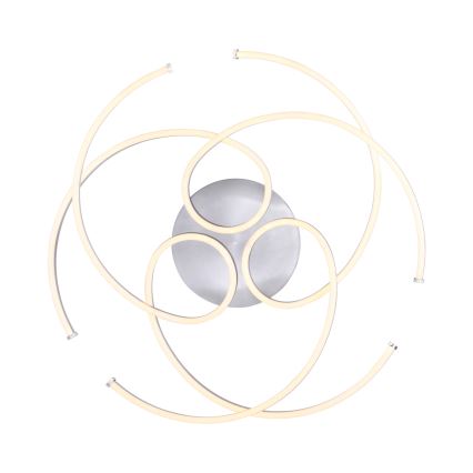 Paul Neuhaus 8165-55 - Plafoniera LED dimmerabile DANILO 3xLED/12W/230V