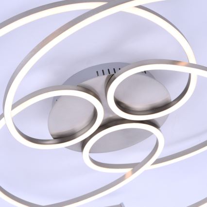 Paul Neuhaus 8165-55 - Plafoniera LED dimmerabile DANILO 3xLED/12W/230V