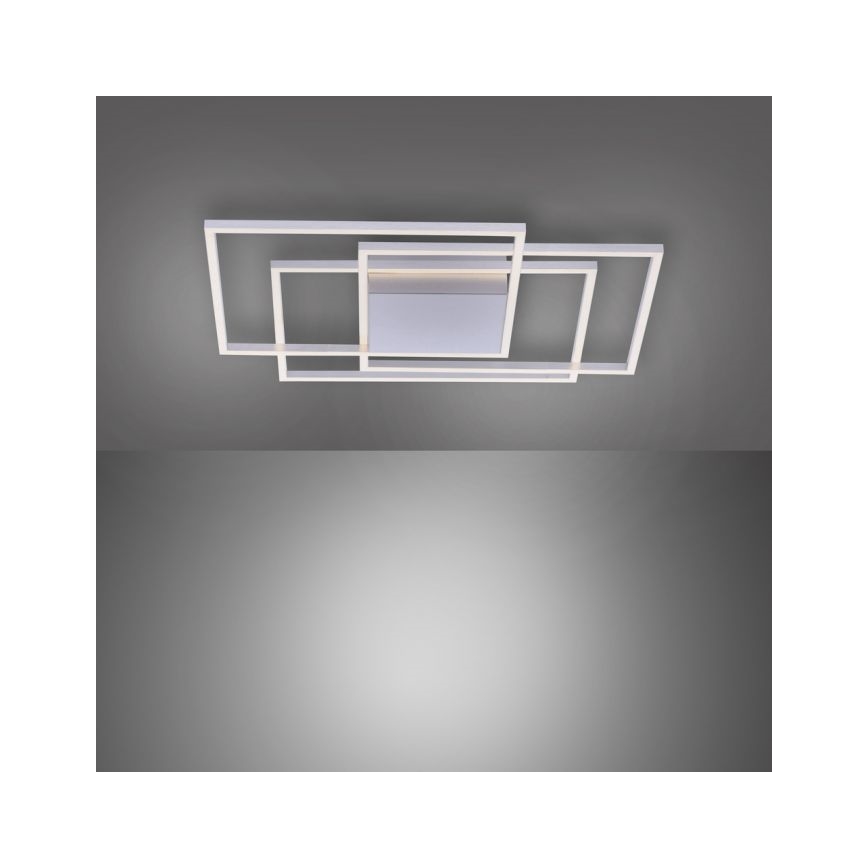 Paul Neuhaus 8256-55 - LED dimmbare Deckenleuchte INIGO 3xLED/16W/230V