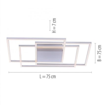 Paul Neuhaus 8256-55 - LED dimmbare Deckenleuchte INIGO 3xLED/16W/230V